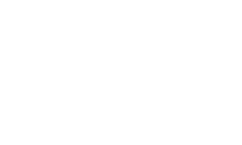 Austin Vince logo