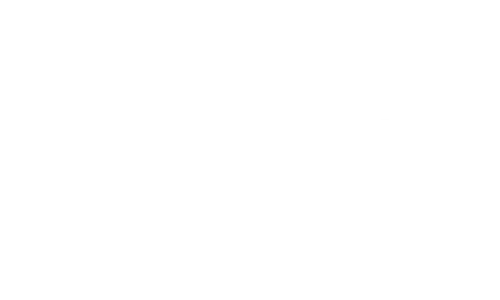 Dirt Punk logo
